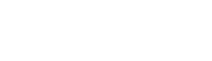 Vinix
